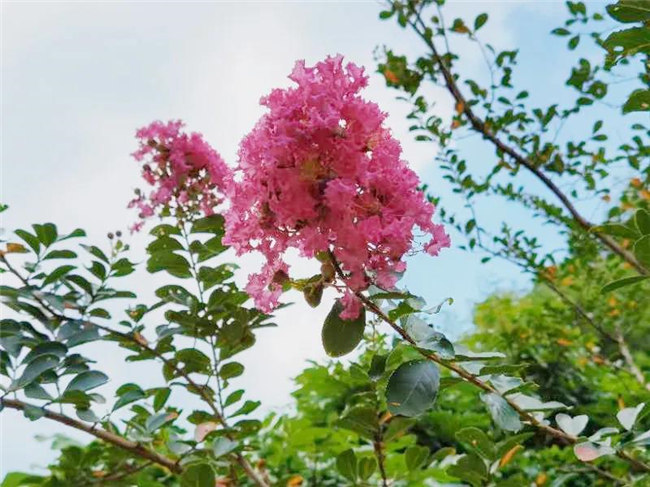 呼吸鮮氧，踐行公益&mdash;&mdash;廣東博皓公益活動：星溪線公益環(huán)?；顒?  -5