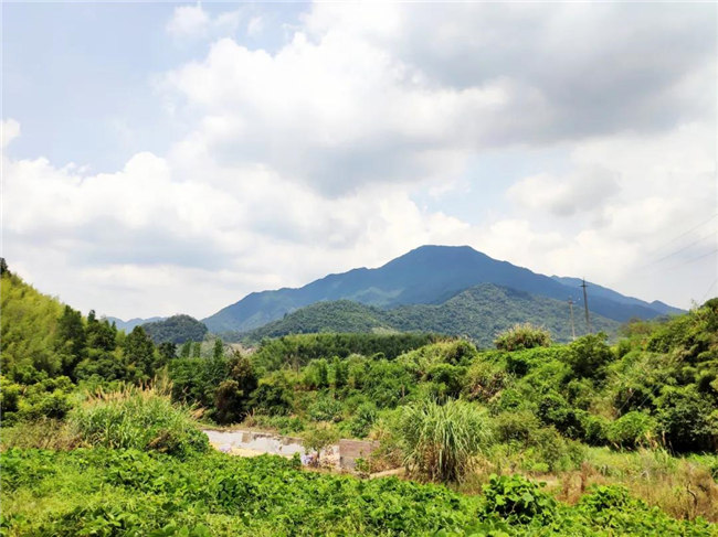 呼吸鮮氧，踐行公益&mdash;&mdash;廣東博皓公益活動：星溪線公益環(huán)?；顒?  -6