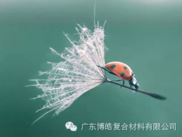 【博皓感悟】成功，要&ldquo;借力&rdquo;，不要&ldquo;盡力&rdquo;